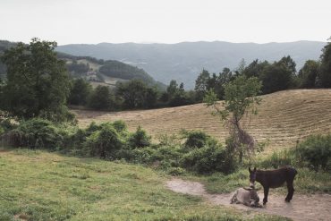 Slide – 3